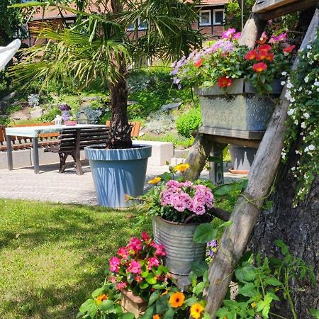 Apartment Im Gruenen Mit Anbindung Ans Zentrum Erfurt Buitenkant foto