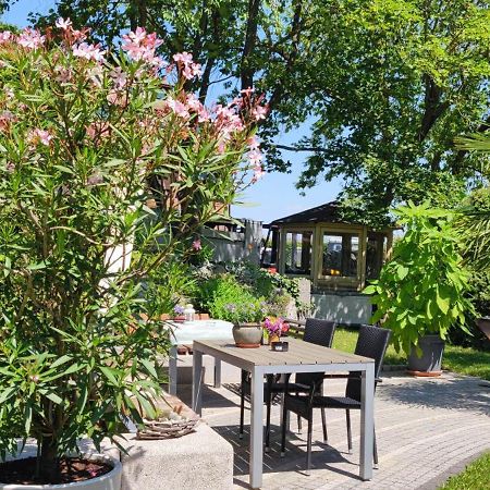 Apartment Im Gruenen Mit Anbindung Ans Zentrum Erfurt Buitenkant foto