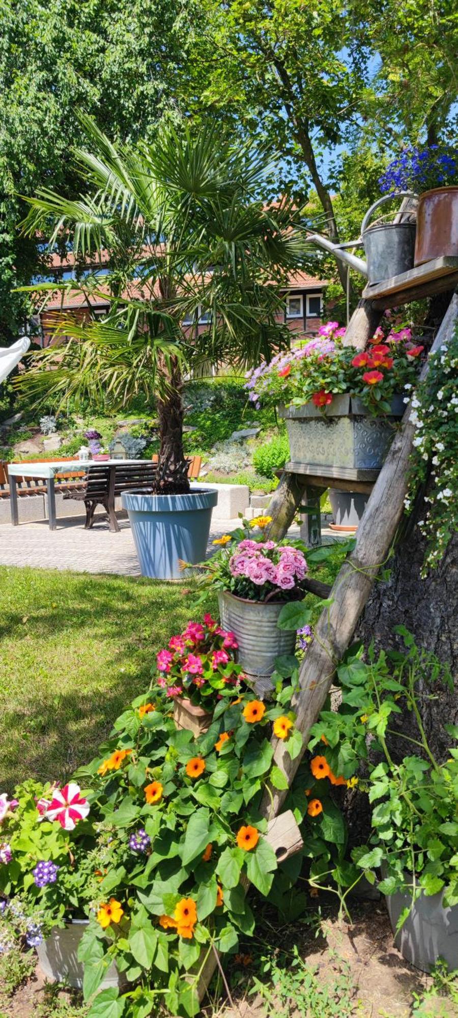 Apartment Im Gruenen Mit Anbindung Ans Zentrum Erfurt Buitenkant foto